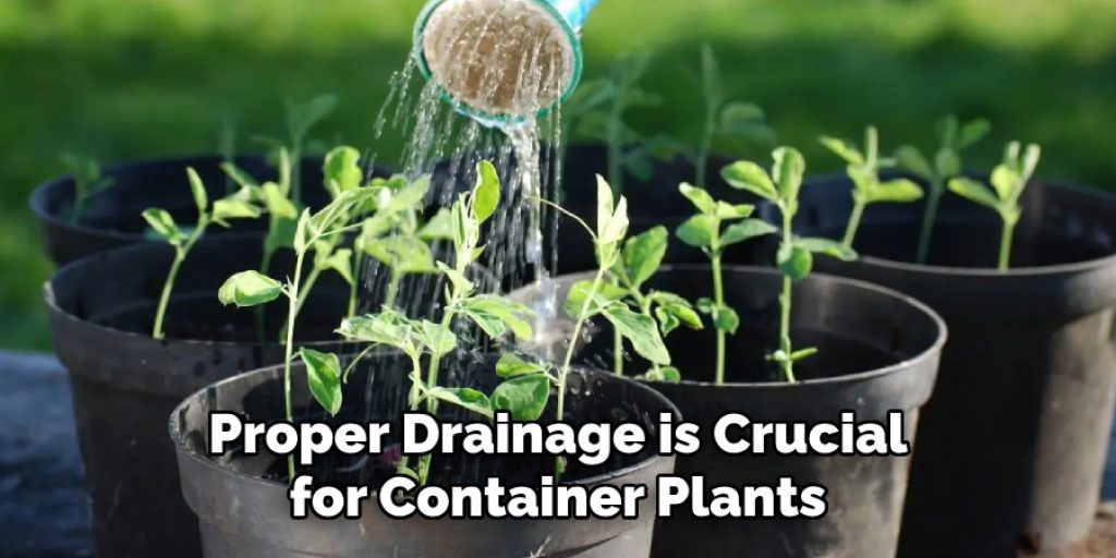 Proper Drainage is Crucial for Container Plants