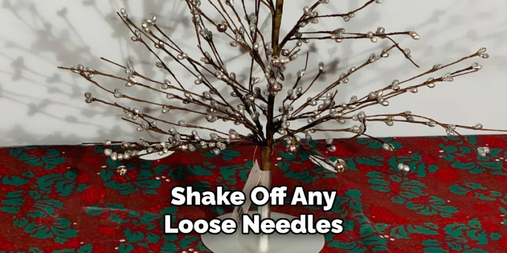 Shake Off Any Loose Needles