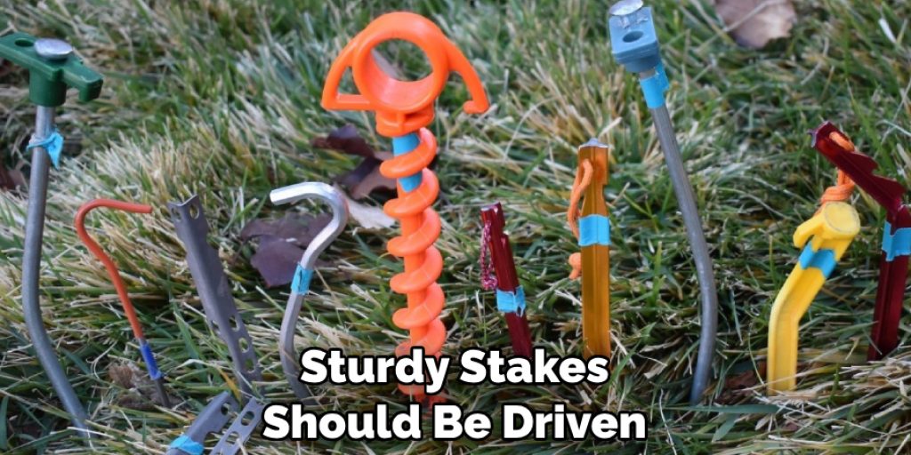 Sturdy Stakes Should Be Driven