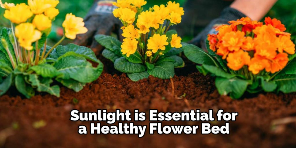 Sunlight is Essential for a Healthy Flower Bed