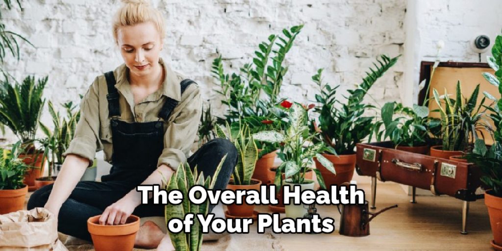 The Overall Health of Your Plants