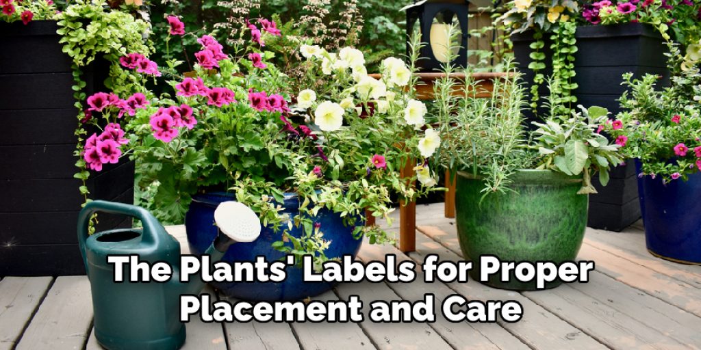 The Plants' Labels for Proper Placement and Care