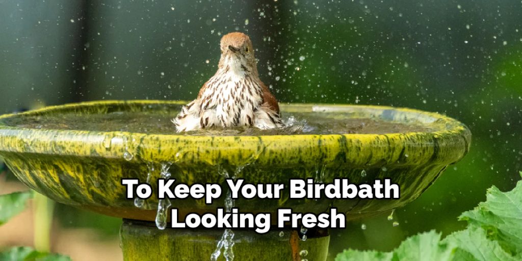 To Keep Your Birdbath Looking Fresh 