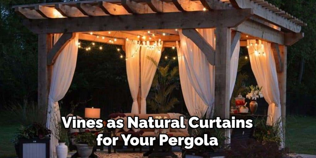 Vines as Natural Curtains for Your Pergola