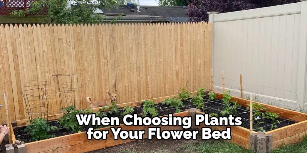 When Choosing Plants for Your Flower Bed