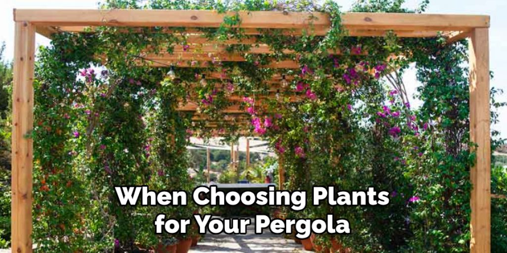 When Choosing Plants for Your Pergola