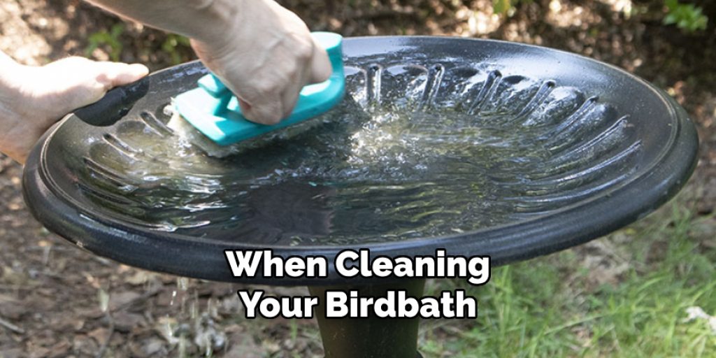 When Cleaning Your Birdbath