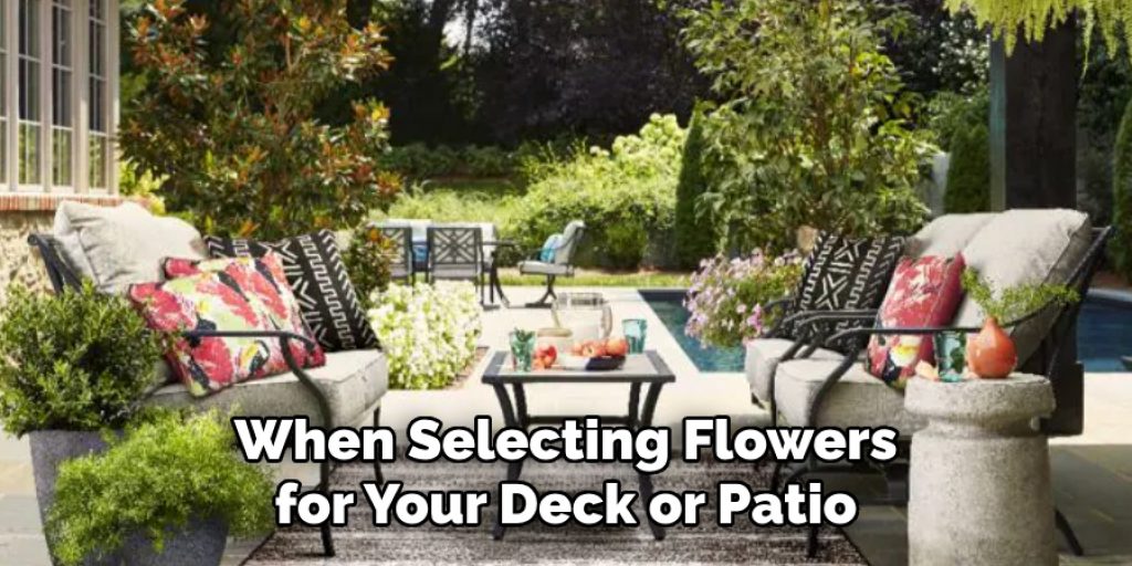 When Selecting Flowers for Your Deck or Patio