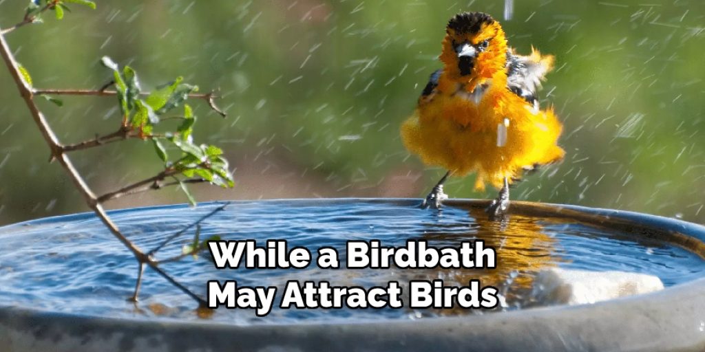 While a Birdbath May Attract Birds