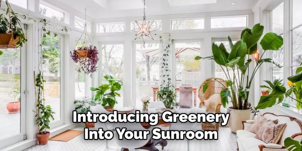 Introducing Greenery Into Your Sunroom