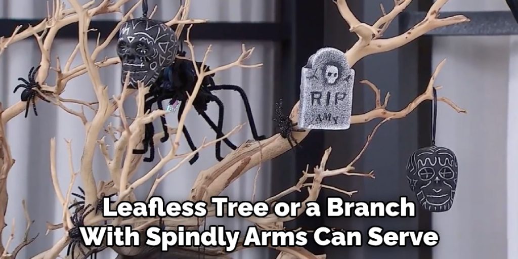 Leafless Tree or a Branch With Spindly Arms Can Serve