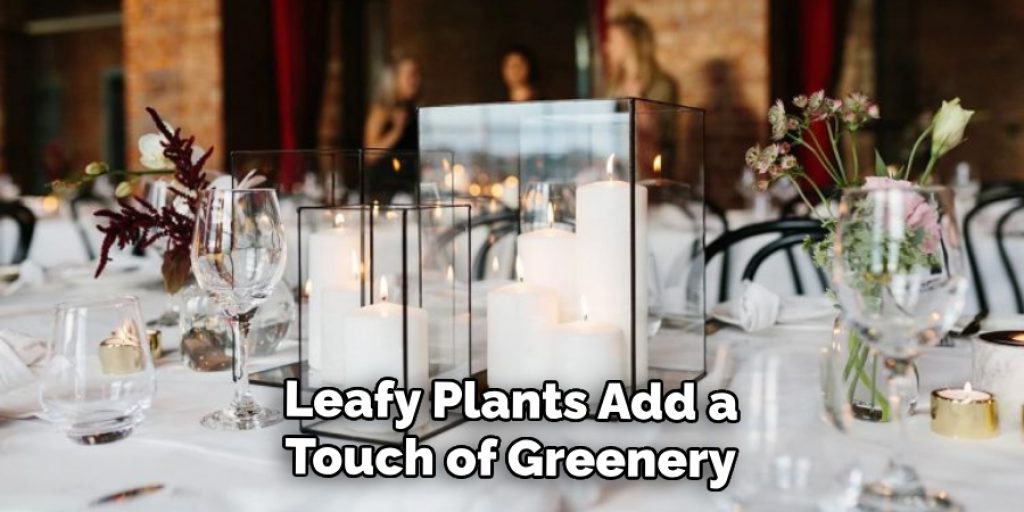 Leafy Plants Add a Touch of Greenery