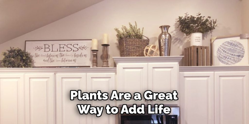 Plants Are a Great Way to Add Life