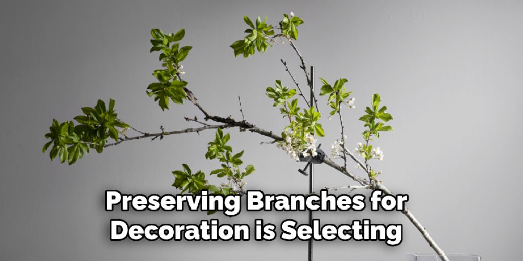 Preserving Branches for Decoration is Selecting