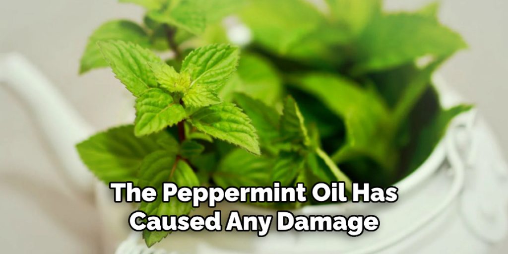 The Peppermint Oil Has Caused Any Damage