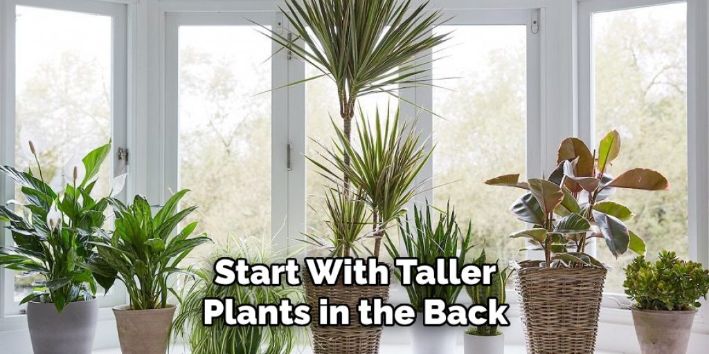 Start With Taller Plants in the Back
