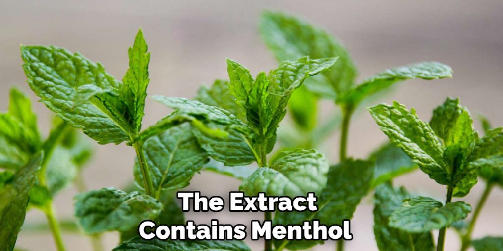 The Extract Contains Menthol 