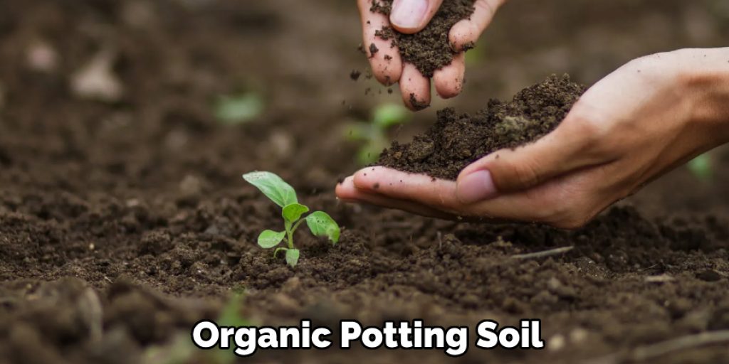 Organic Potting Soil