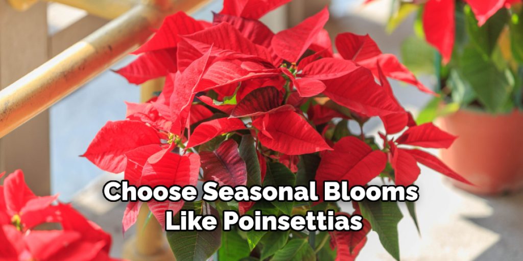 Choose Seasonal Blooms Like Poinsettias