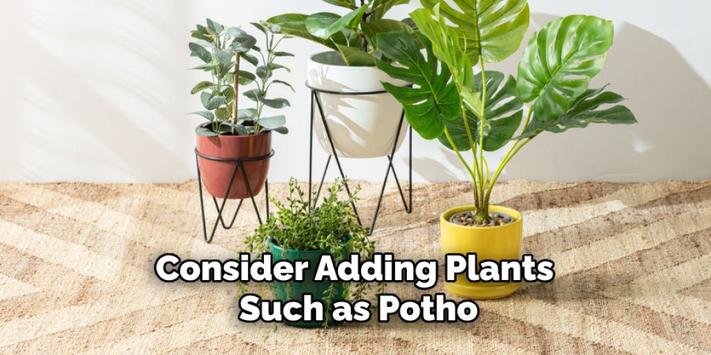 Consider Adding Plants Such as Potho