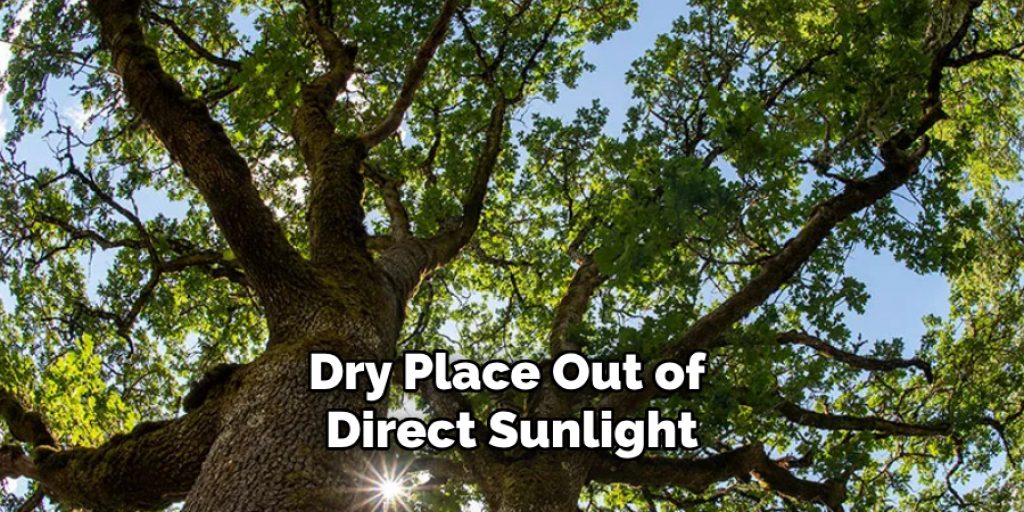 Dry Place Out of Direct Sunlight