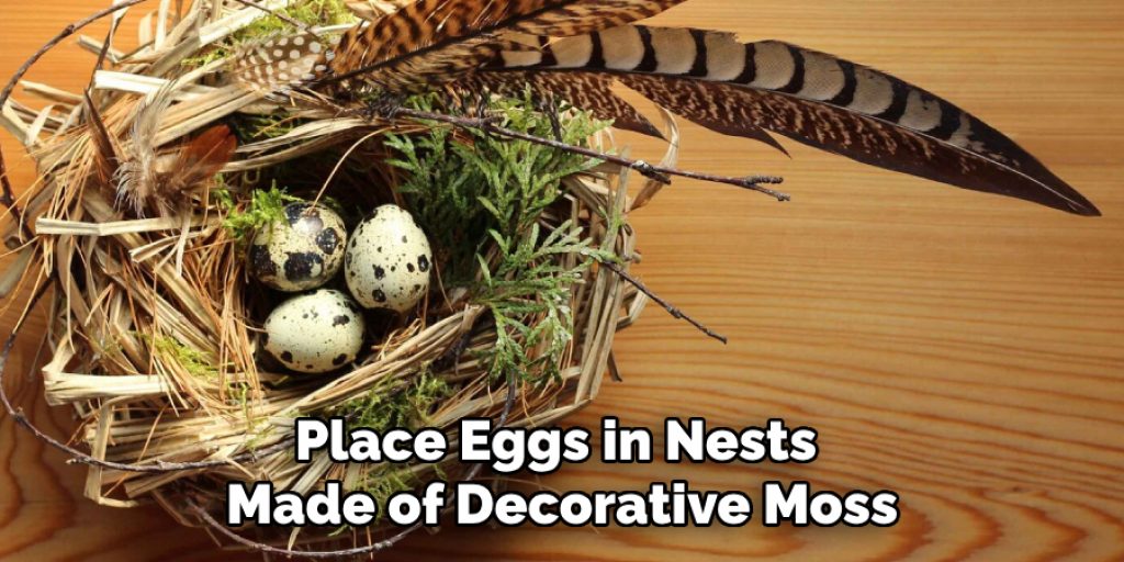 Place Eggs in Nests Made of Decorative Moss