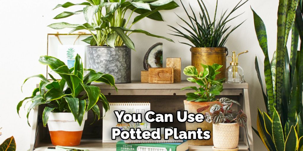 You Can Use Potted Plants