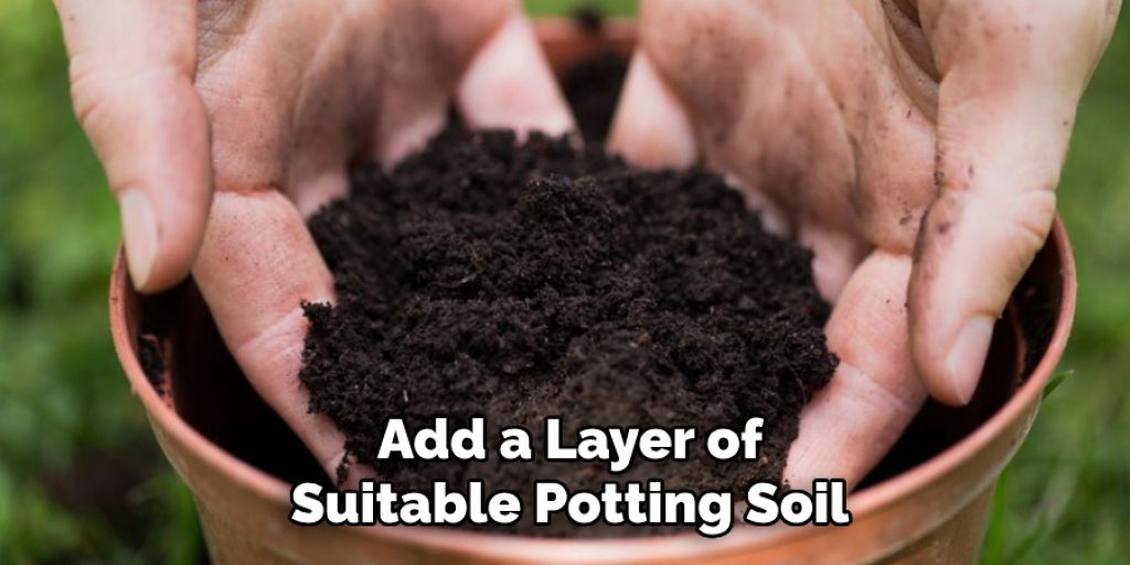 Add a Layer of
Suitable Potting Soil