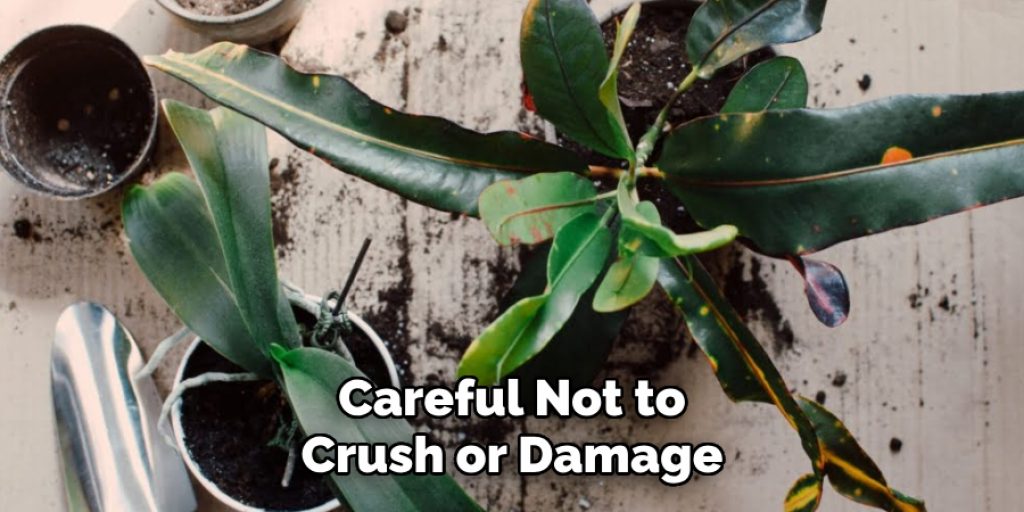 Careful Not to
Crush or Damage