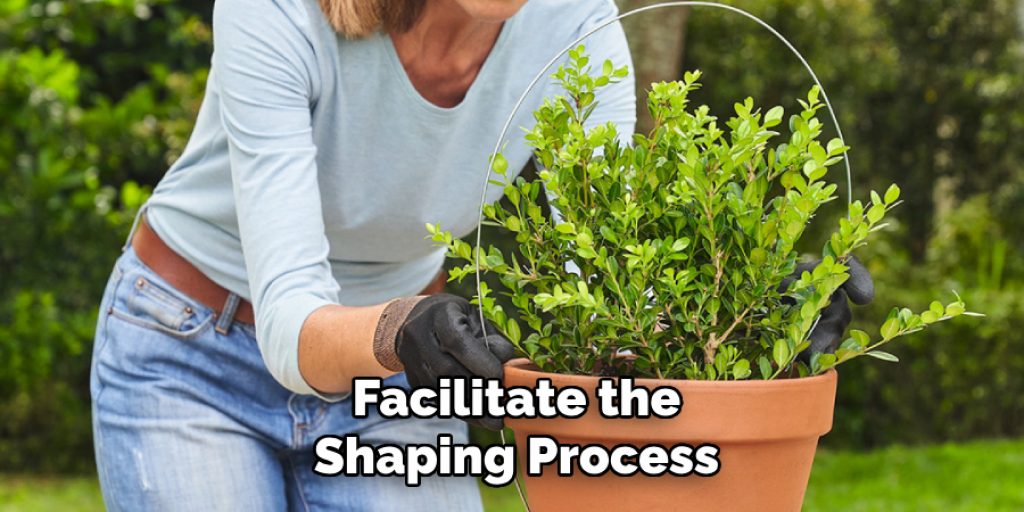 Facilitate the
Shaping Process