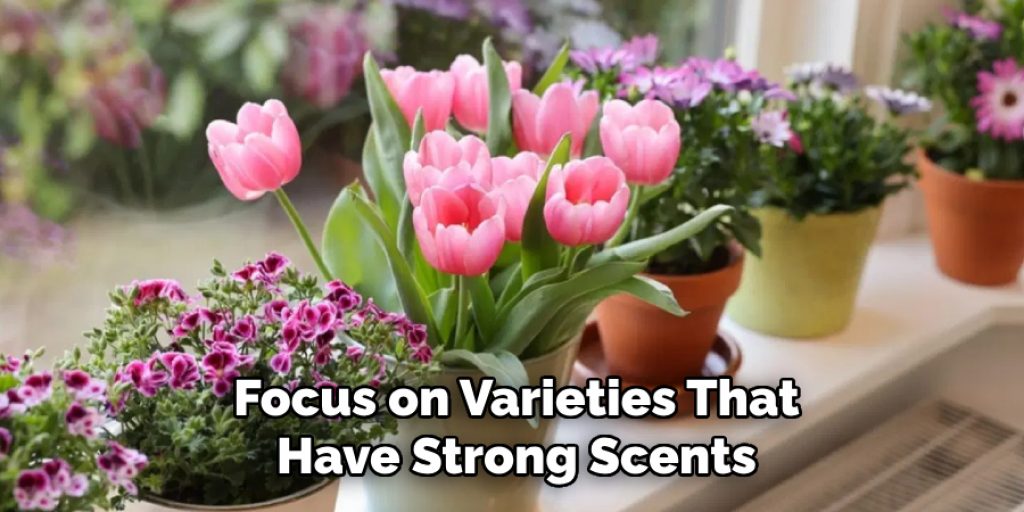 Focus on Varieties That
Have Strong Scents