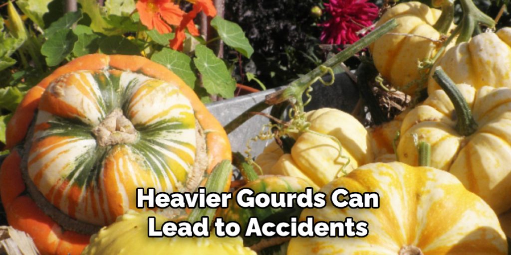 Heavier Gourds Can
Lead to Accidents