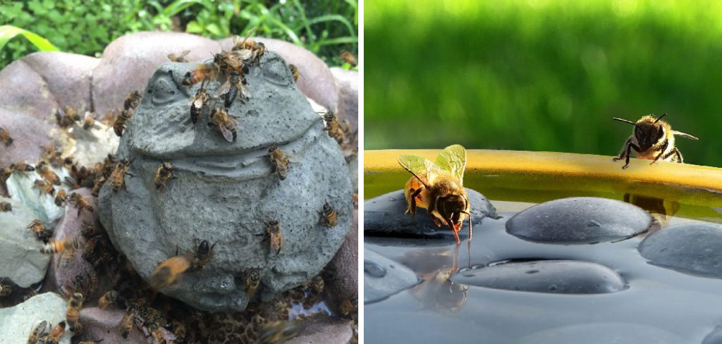 How to Make a Bee Bath