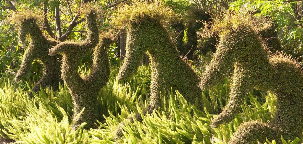 How to Make a Topiary Frame