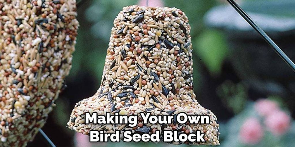 Making Your Own Bird Seed Block