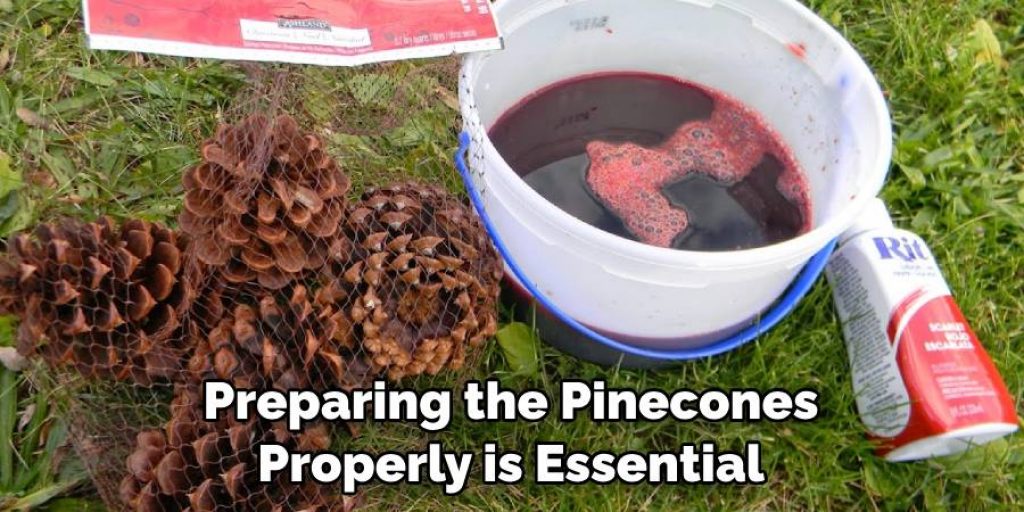 Preparing the Pinecones Properly is Essential