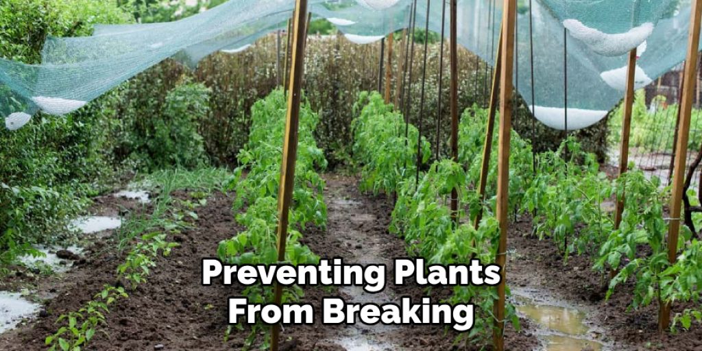 Preventing Plants
From Breaking