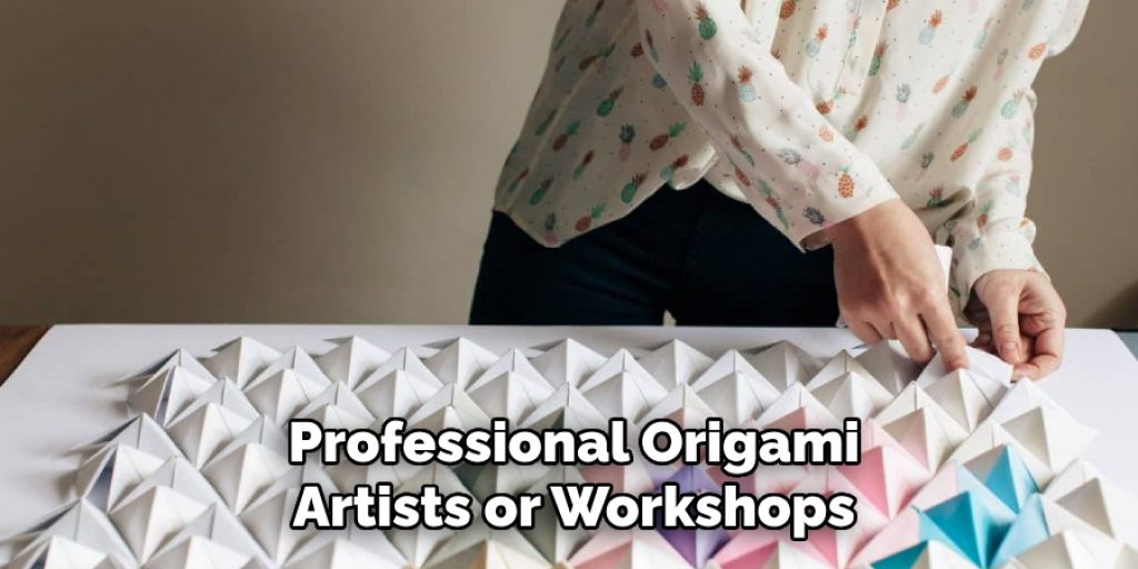 Professional Origami
Artists or Workshops