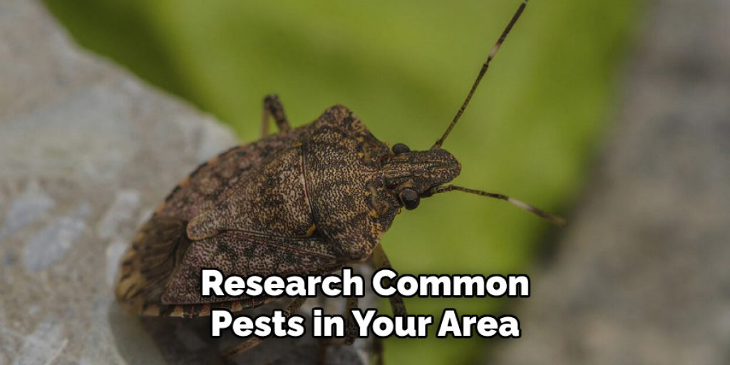 Research Common
Pests in Your Area