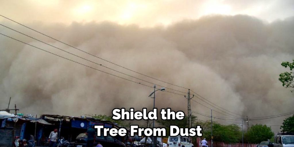 Shield the
Tree From Dust