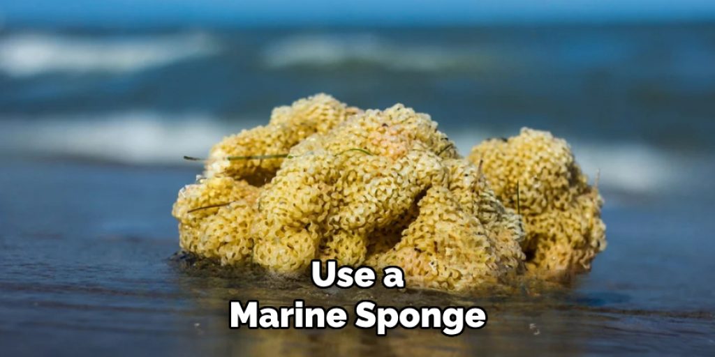 Use a
Marine Sponge