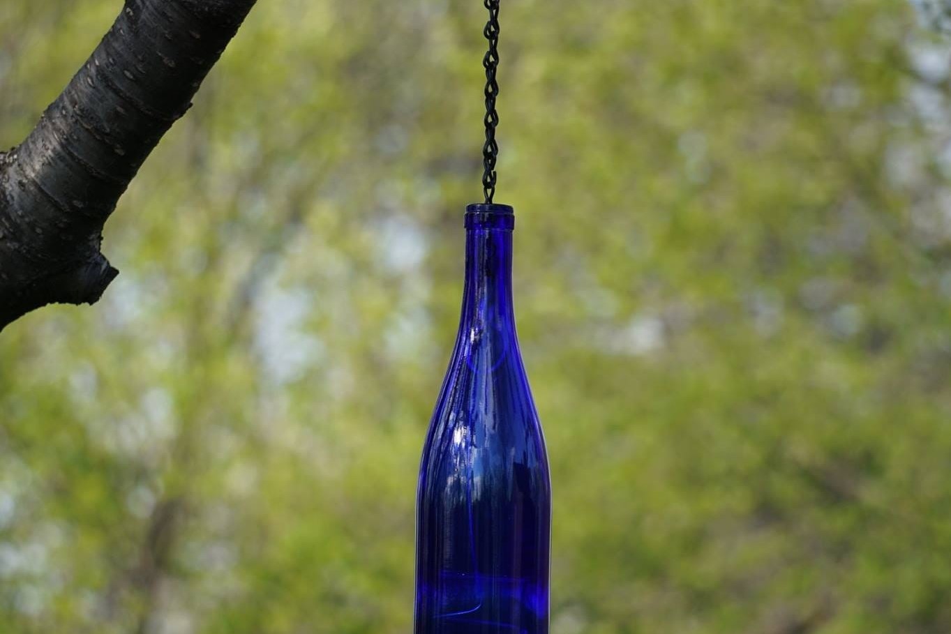 How to Hang Bottles with Wire Detailed in Short Guide (2024)