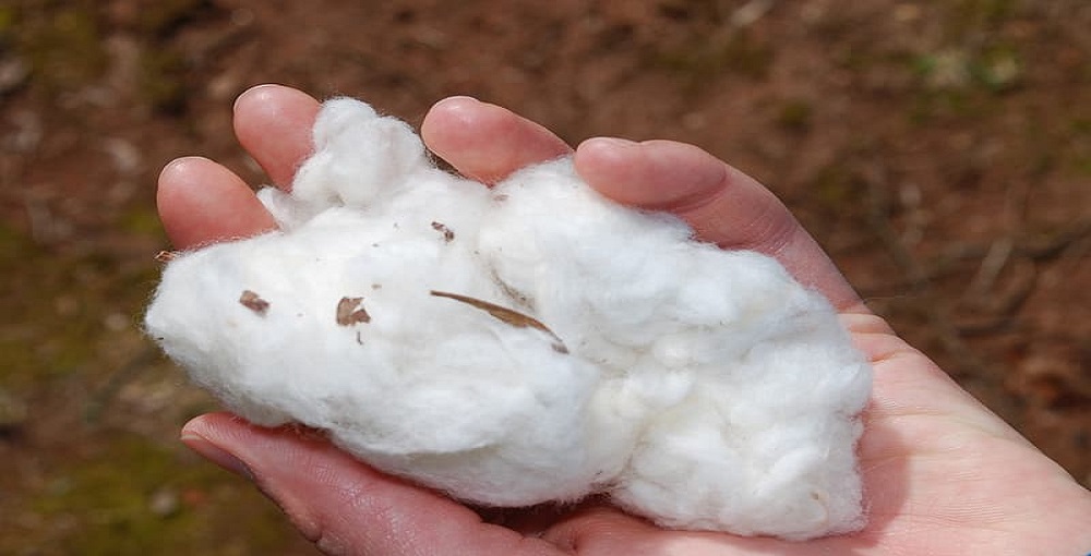 How To Make A Bunny Tail With Cotton Balls