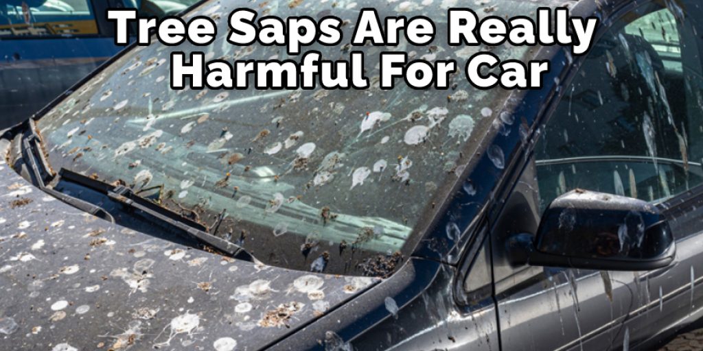 Tree Saps Are Really Harmful For Car