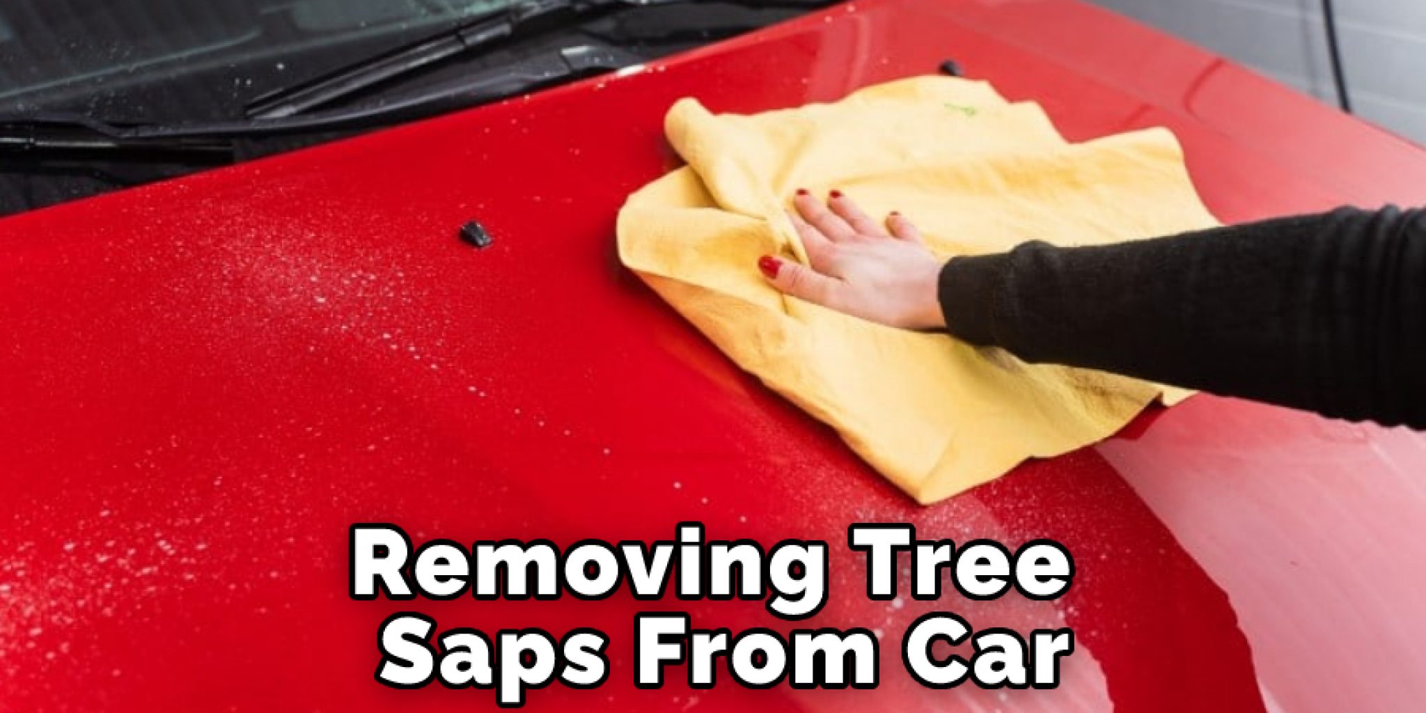 what-does-tree-sap-look-like-on-a-car-in-short-guide-for-you-2023