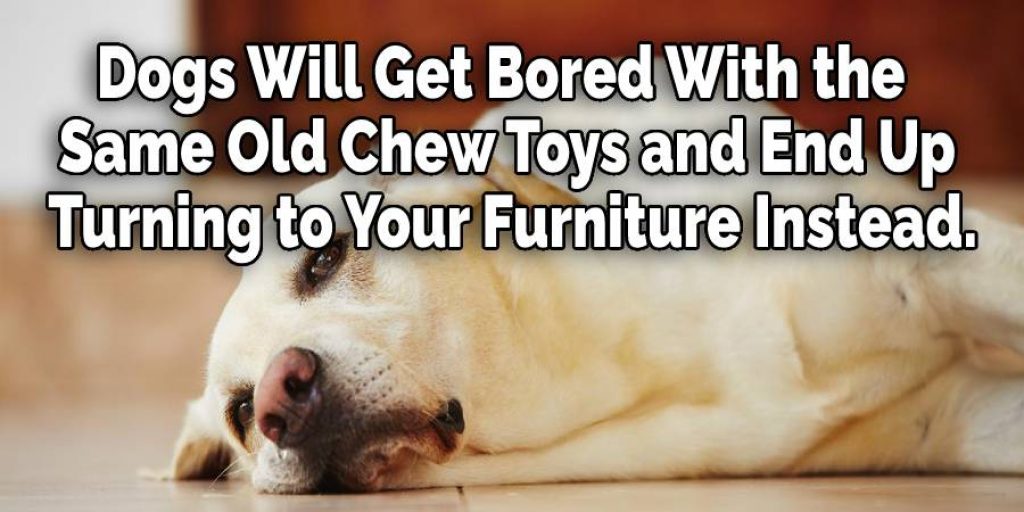 Dogs Will Get Bored With the Same Old Chew Toys