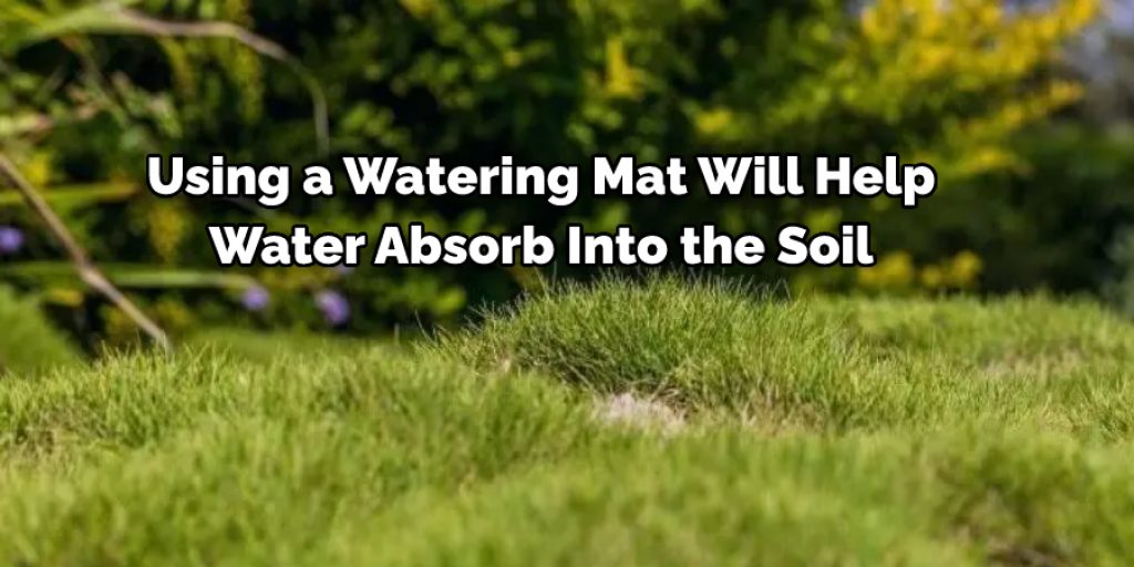 Using a watering mat
