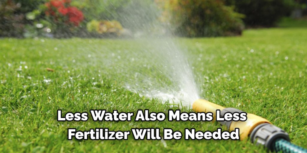 5 Benefits of Using Less Water in Lawn