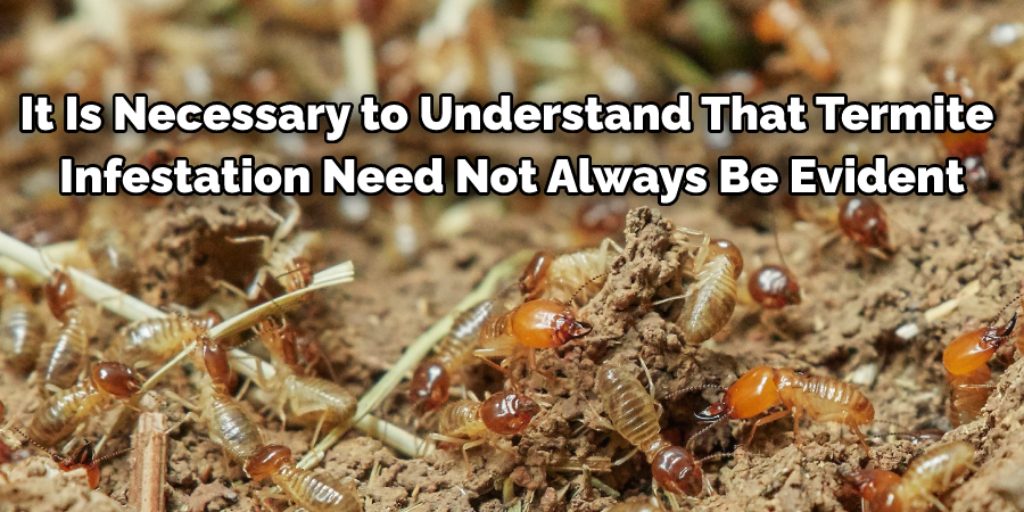 6 Common Signs to Detect Termite Infestation in Your Lawn