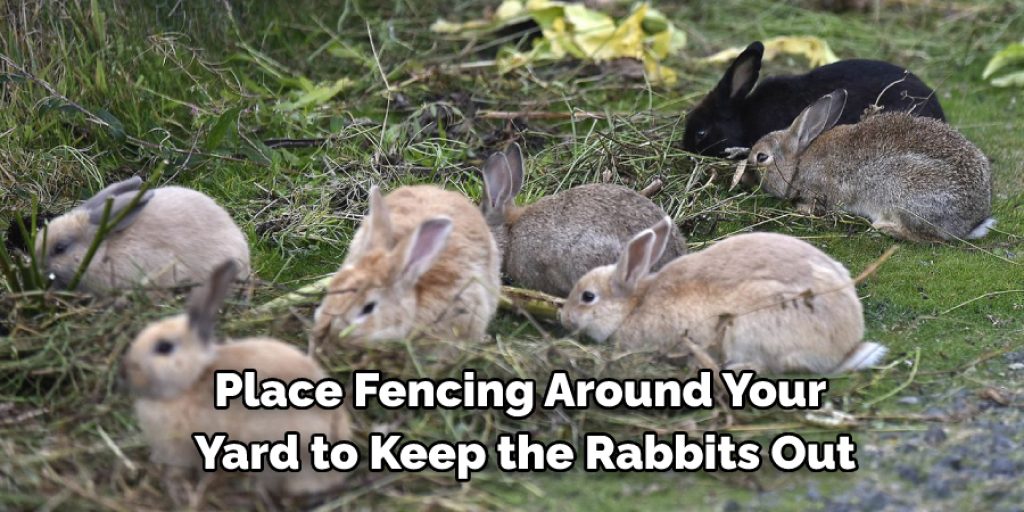 7 Ways to Deal with a Rabbit Infestation at Home